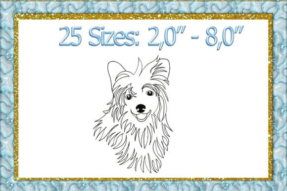 Chinese Crested Powder Puff